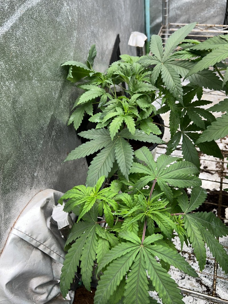 D03F42B2-14BE-495F-841B-004B5FE3D66B