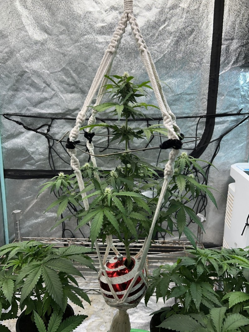 F7ED115C-0244-4A0C-B8A7-11FBFC23536F