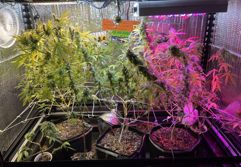 86882805-60AF-4B15-8D06-1ABE65F4EA05