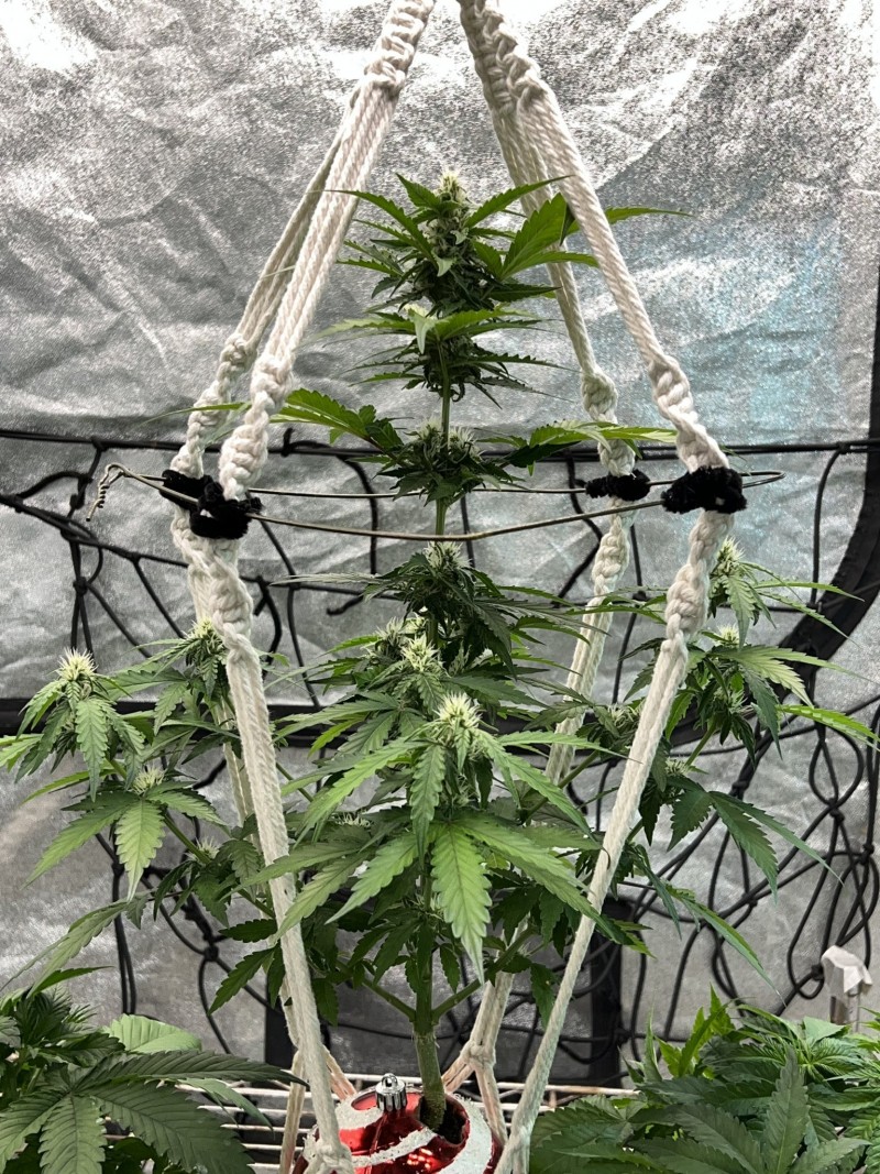 156BCC3C-3A7E-46AA-858C-EA95385AED01