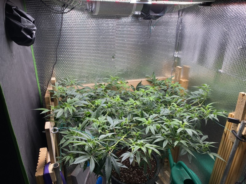 89573921-4CA5-4FF2-8FF6-26508D273033