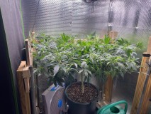 E52E22A0-38F0-46F4-B2F7-D49A18F4CEEB