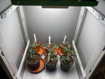 9CDD7E3C-F315-4153-8D3C-86DA023267B6