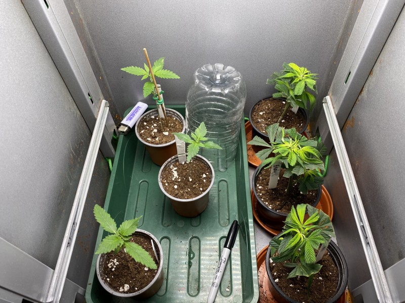 1279FACD-05EB-4458-AF5B-0EEE0A762A80