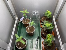 1279FACD-05EB-4458-AF5B-0EEE0A762A80