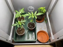 83CDC433-6F59-436B-88F3-0C0FB32DF6C3