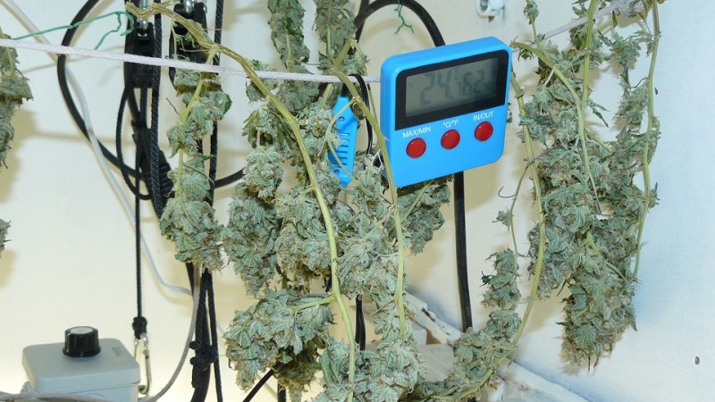 drobes 27 11 22 td harvest etc 011