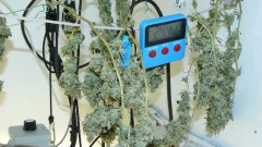 drobes 27 11 22 td harvest etc 011