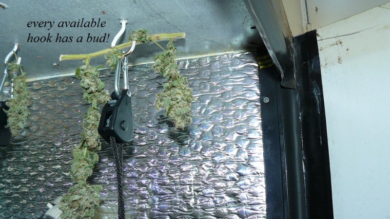 drobes 27 11 22 td harvest etc 029