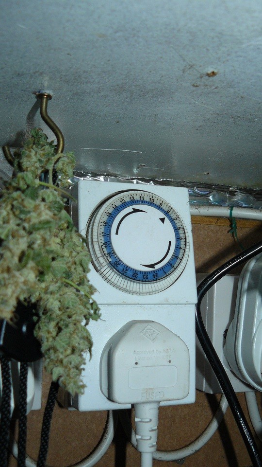 drobes 27 11 22 td harvest etc 030