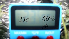 drobes 27 11 22 td harvest etc 033