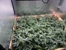 06AAD243-6224-4244-BCDF-EB6BDCD0BAA8