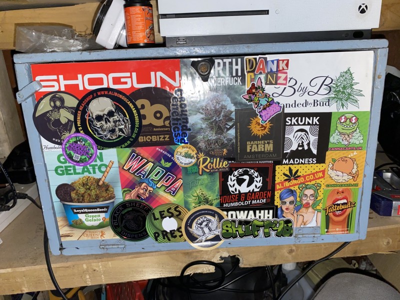 9A1CF018-67B6-41C2-8C1C-00D515A3A8E5