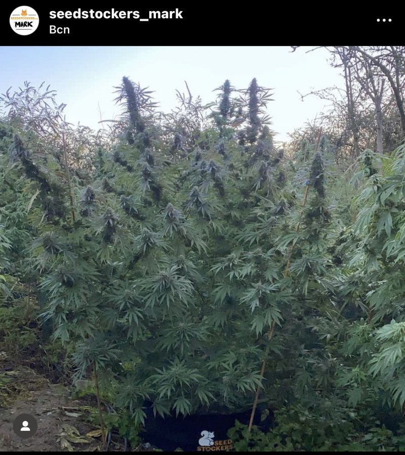 CED60103-AE80-49CB-96CE-1702FAF53142