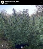 CED60103-AE80-49CB-96CE-1702FAF53142