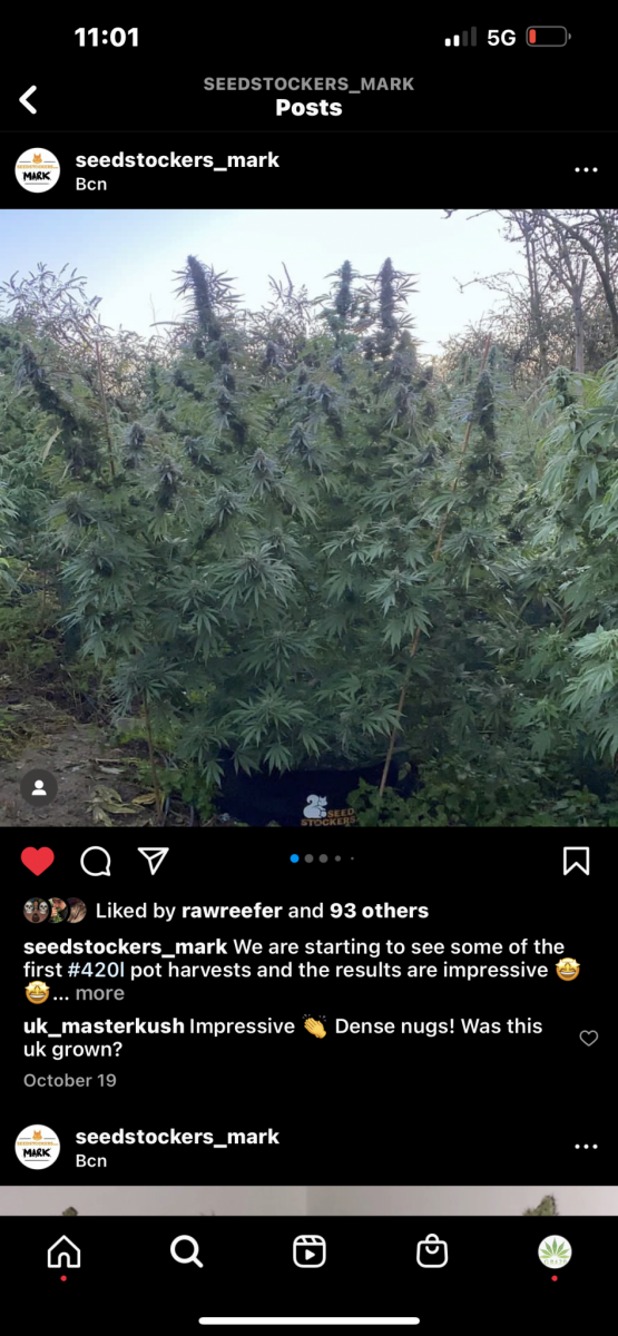 24146E44-5563-4CBA-9981-884F5273AABE