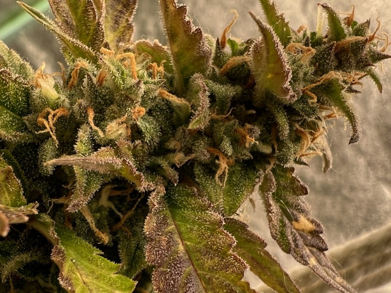 D4FB4194-14B9-4470-8D22-27860B0E75C3