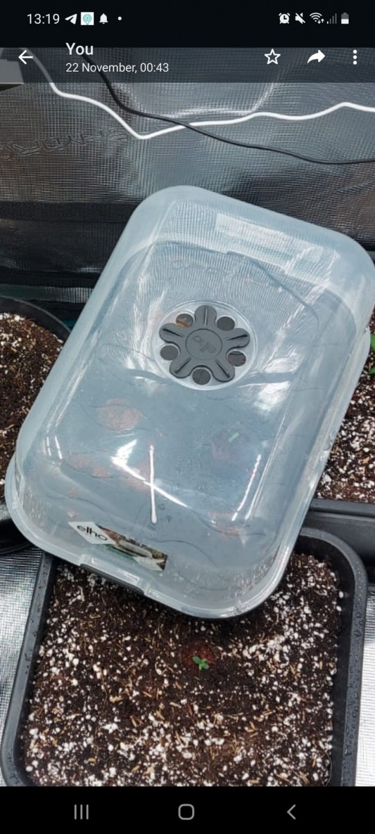 Screenshot_20221130-131920_WhatsApp