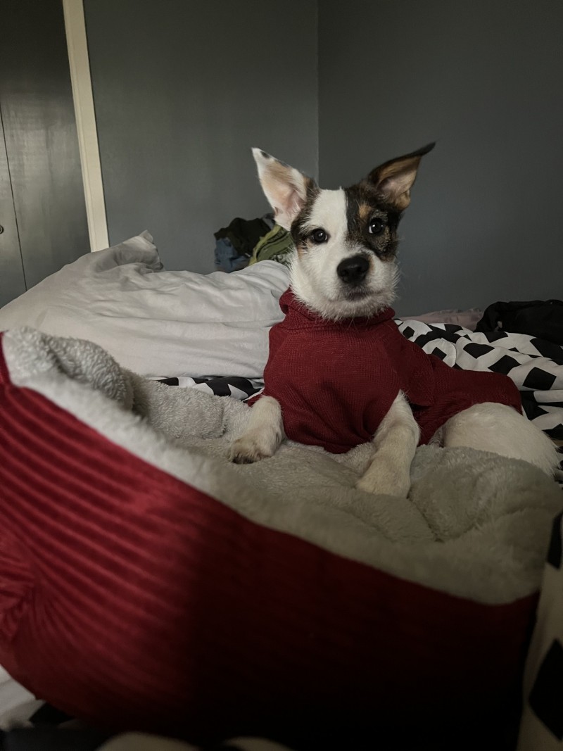 2A5F78A9-D4BF-4DB4-966B-62284C17F6A2