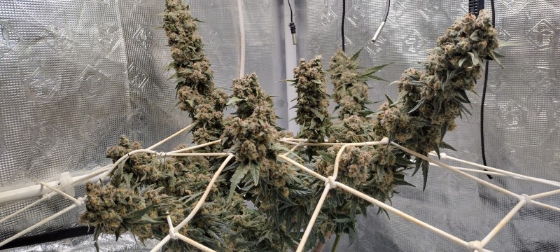 IMG_20221202_082501558_HDR