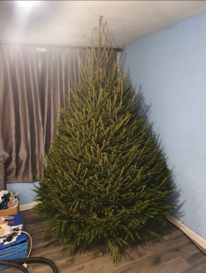 Screenshot_20221202_191820_Gallery