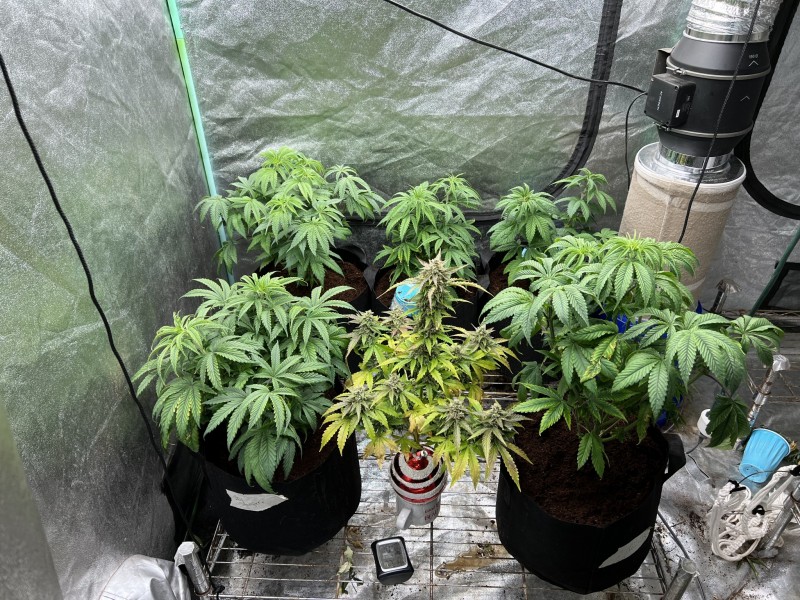 440E6F59-B1DE-4F1C-8AFA-138A12424DFC