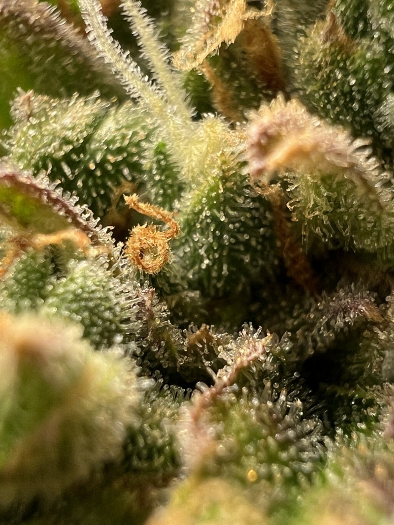 1492749A-8B04-4B47-972E-DC8A0A98B64A