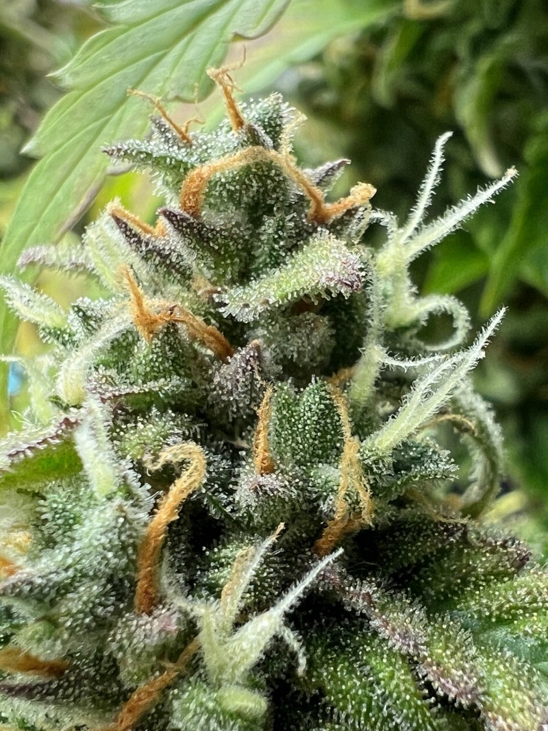 34E967E5-D073-4691-928F-3B45BD672EC6