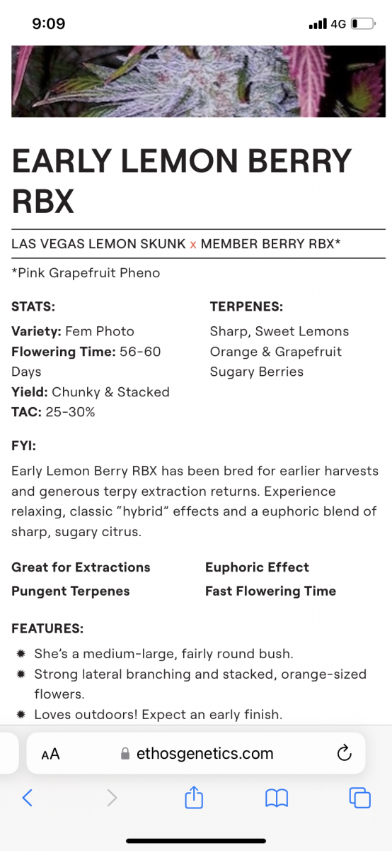 65E1F9F2-548B-4638-AA82-8F8924D7B363