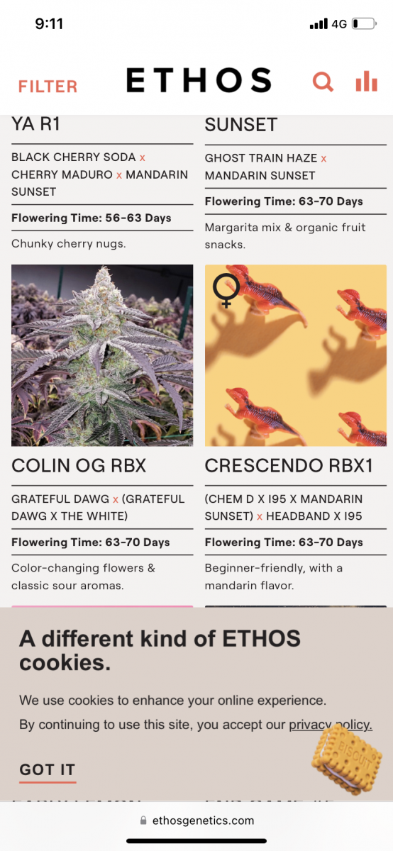 85400E47-578B-4249-AD46-C18C372BDA21