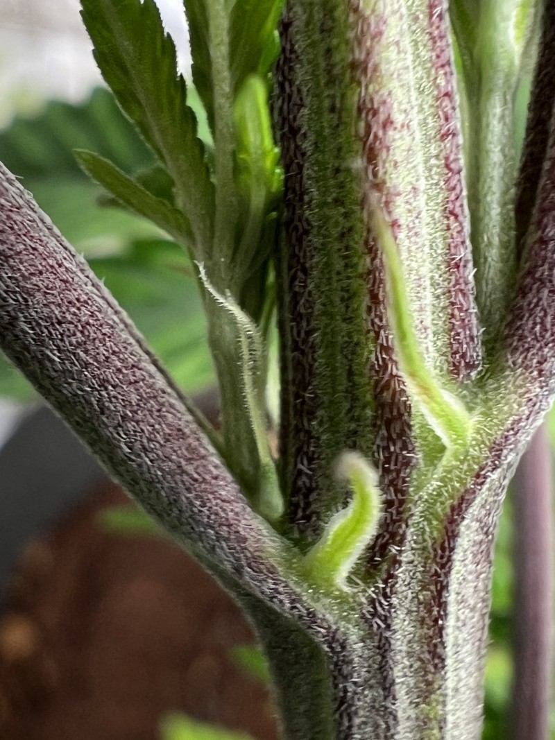 3F2FC495-A067-46B0-A6A9-489ABE4DD179