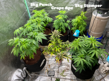 6E22F556-84A2-498C-B75E-73EB503B4F3E