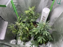 07AFA473-CE28-4C70-9966-D6435961C7B1