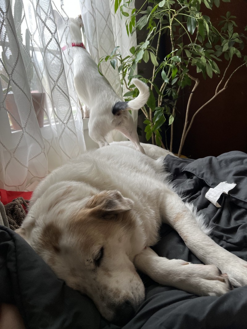 8F9CA670-874E-4638-9B2D-459271E9EDE9