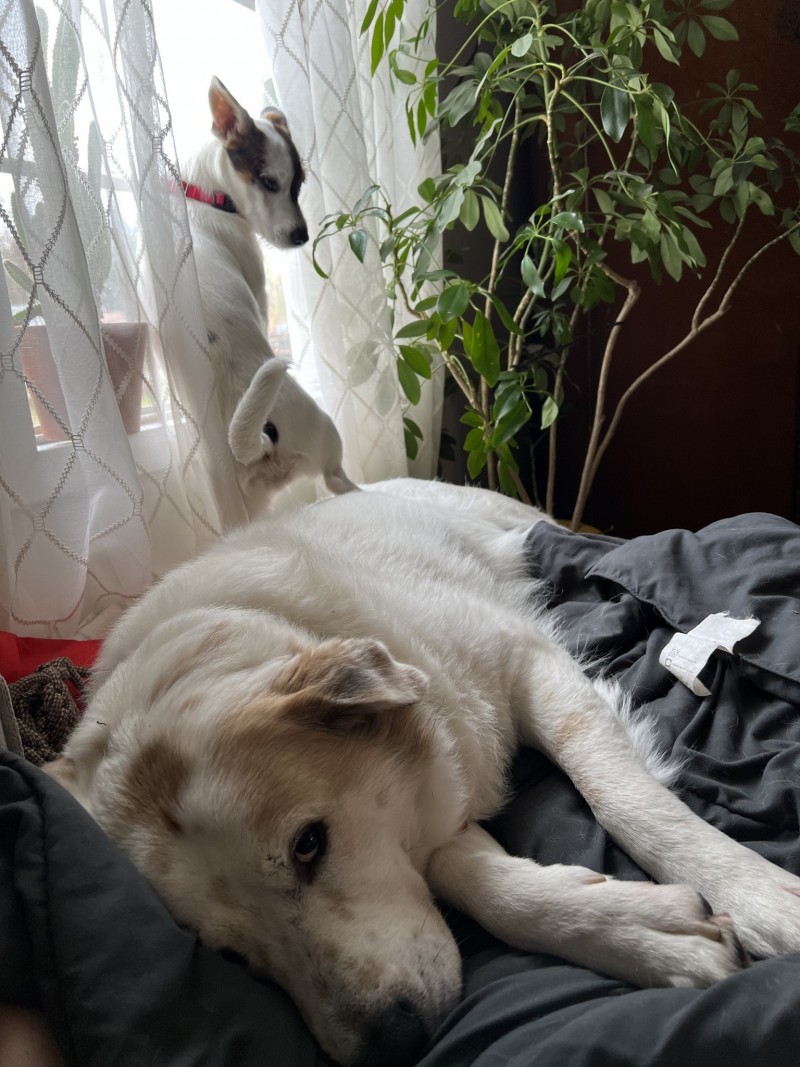 F043CF50-41B5-4935-B161-6AFC06EE9884