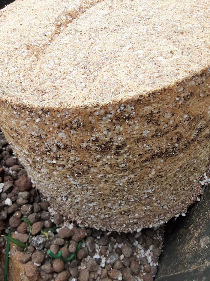 20221209_104048 - Copy