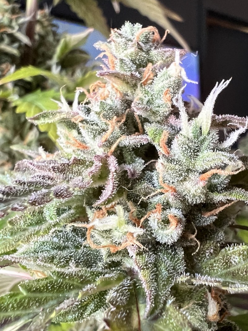 857B600F-855C-4D69-96EB-D1DFF6E9AF28