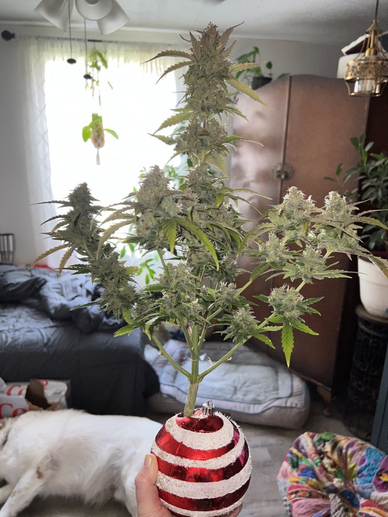 29037858-776D-4343-AFA3-6E15D404E129