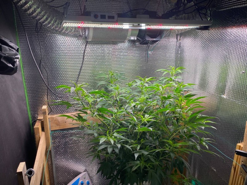 0D0D06B7-FAA2-4E46-8ABB-BD90782D92F9