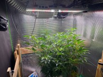 0D0D06B7-FAA2-4E46-8ABB-BD90782D92F9