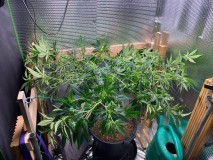 B098749A-923A-4C32-92FE-8878117A1D8A