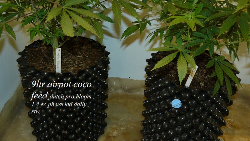 drobes light change 008