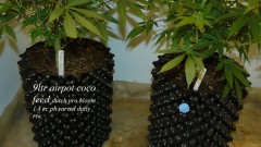 drobes light change 008