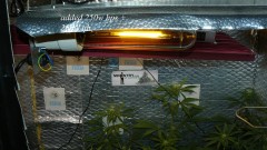 drobes light change 016