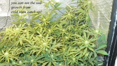 drobes light change 021