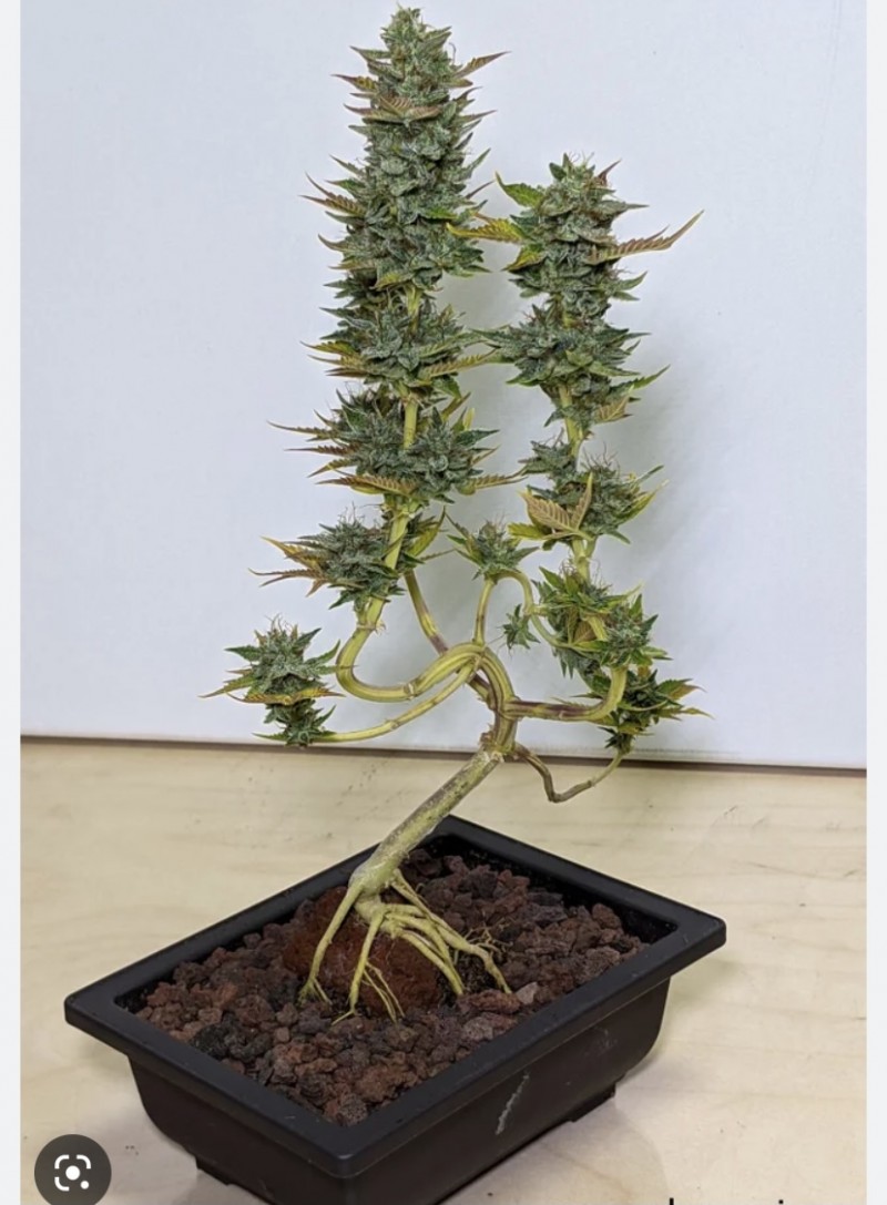 B7629DF8-8319-476D-9807-22594364ABD0