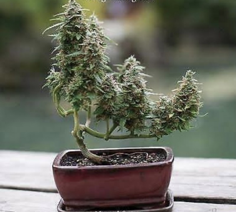 65086C44-8DF0-4C88-923F-3EA863E07063