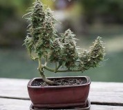 65086C44-8DF0-4C88-923F-3EA863E07063