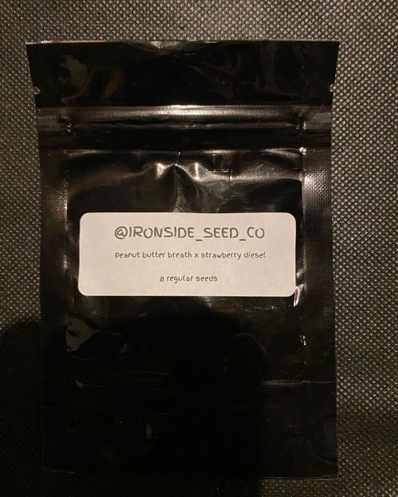 4BE11FFE-BAD8-437A-8904-DB960FCCCC5F