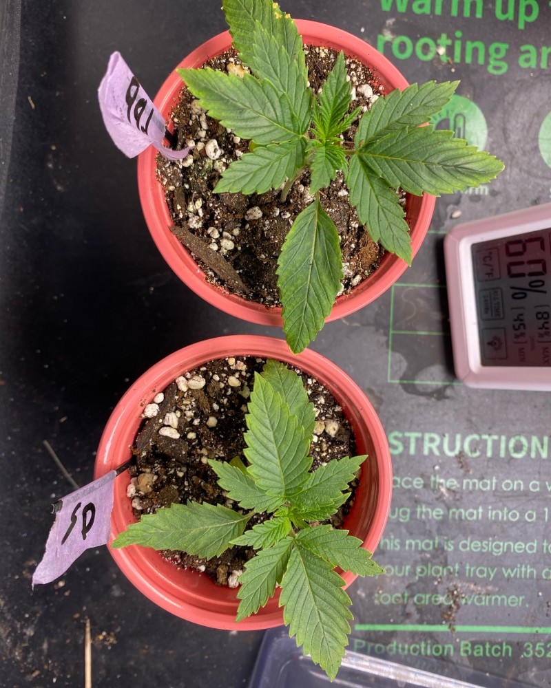 6AD74545-2303-4628-82A0-600FA1591001